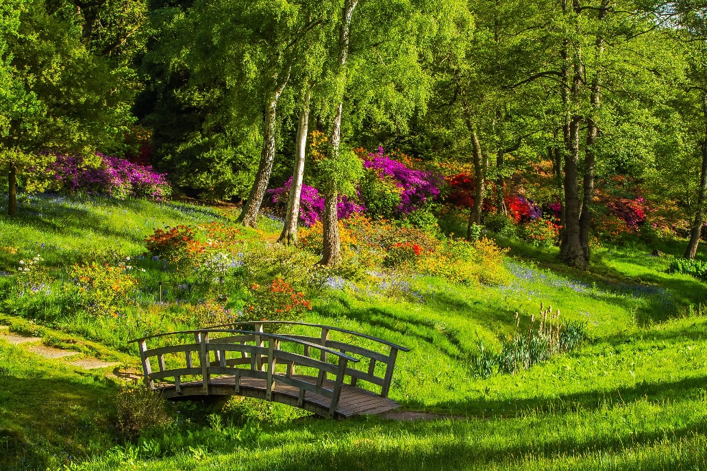 A wooden arched bridge in a green, flowering garden